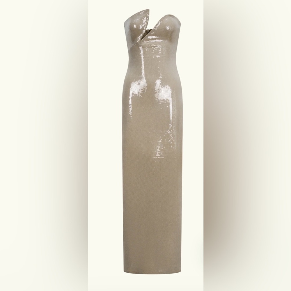 Winston
Strapless Sequin Maxi Dress - color Taupe-NWT